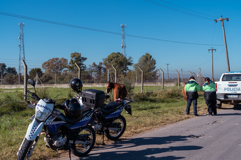 Sin Foto