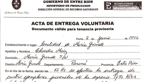 Sin Foto