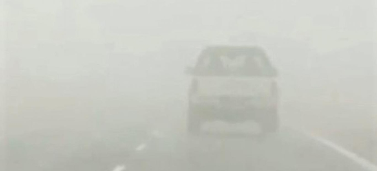 Sin Foto