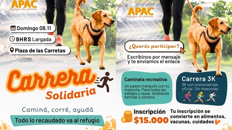 Sin Foto
