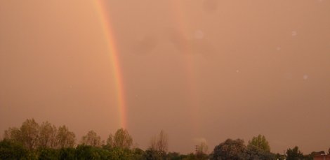 Sin Foto