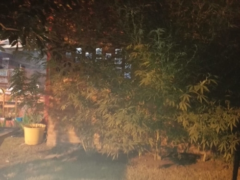 Sin Foto