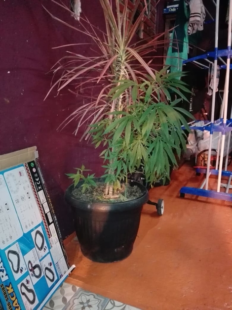 Sin Foto