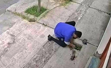 Sin Foto