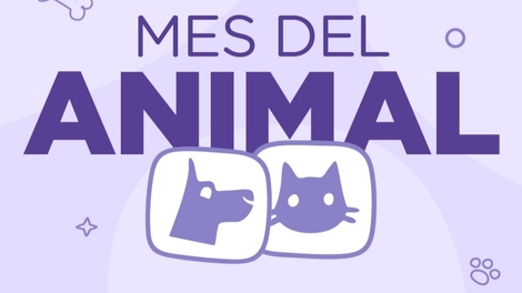 Sin Foto