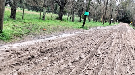 Sin Foto