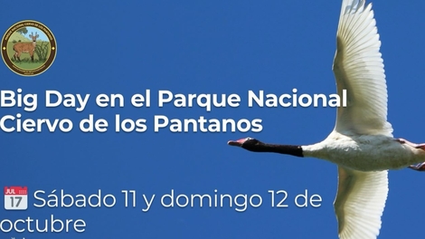 Sin Foto