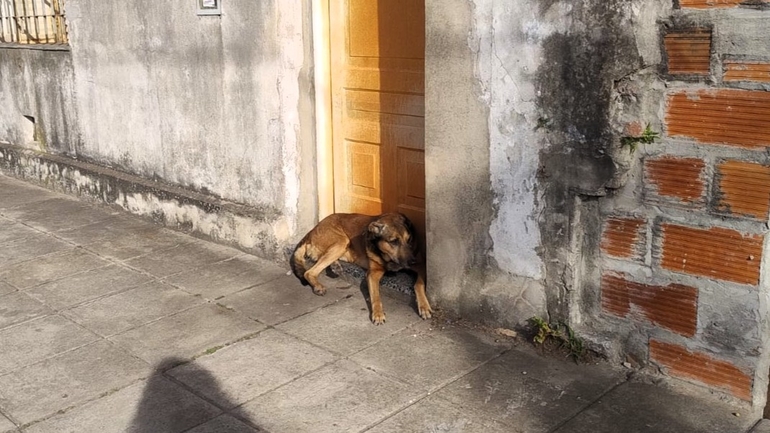 Sin Foto