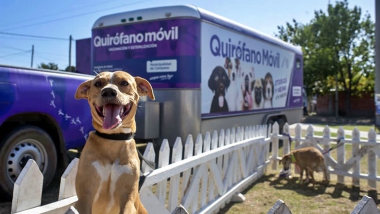 Sin Foto