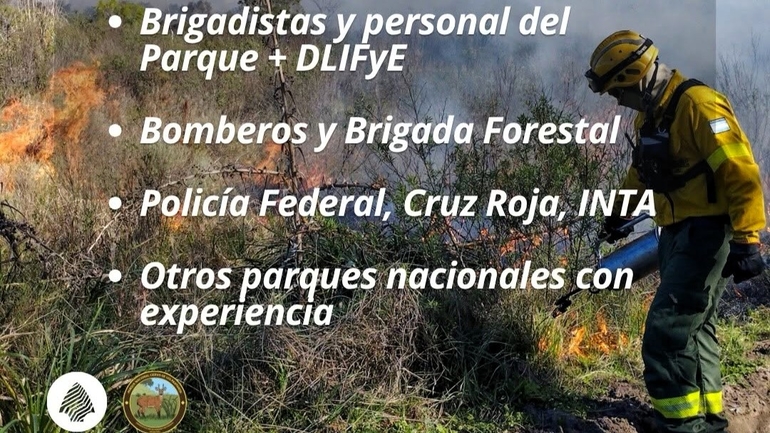 Sin Foto