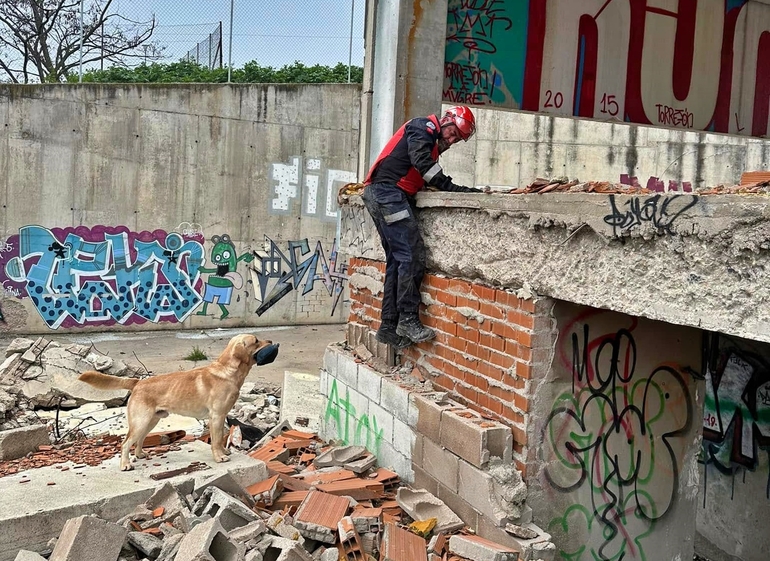 Sin Foto