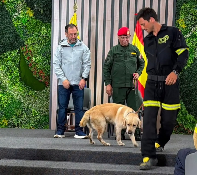 Sin Foto